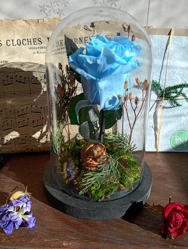 S02 je t'aime en bleu