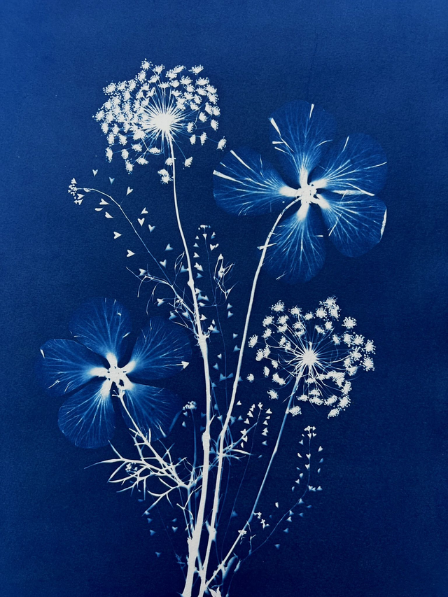 &quot;Poésie végétale&quot; Cyanotype original