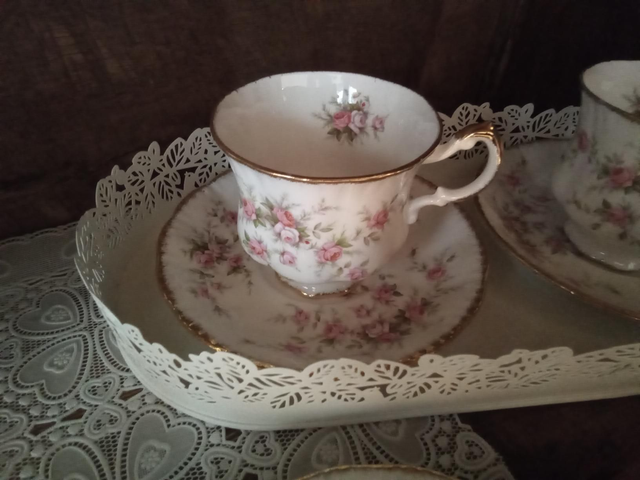 Rose tasse Anglaise 