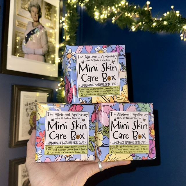 Mini Skin Care Box