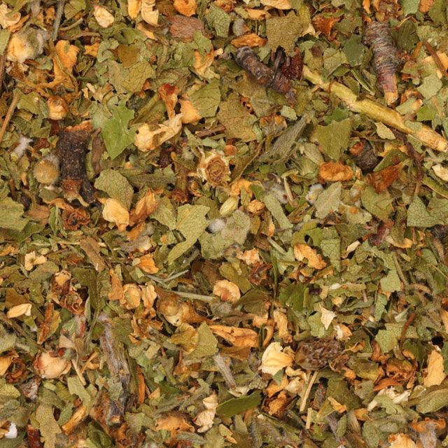 Meidoorn (hawthorn) (Crataegus) - BIO