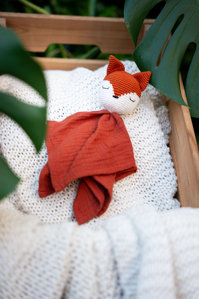 Renard
