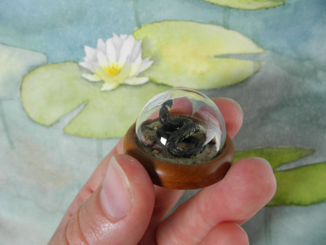 slithering through the sand - Among the lilypads - Miniature diorama Jewelry - Clear glass dome with delicate handmade grass snake on sandlace (1)