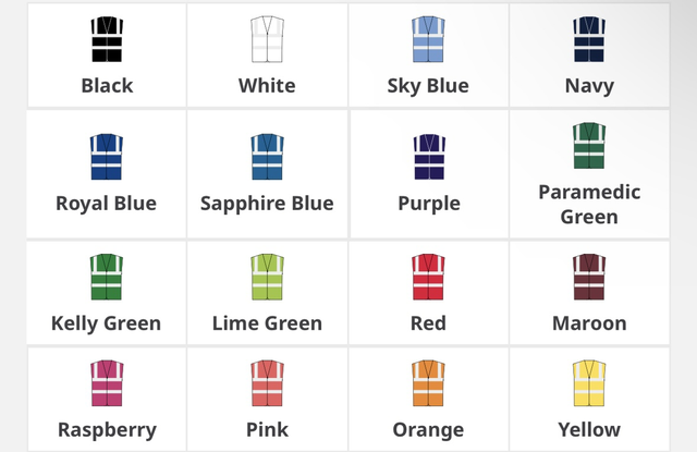 Custom Printed HI-Vis Vest