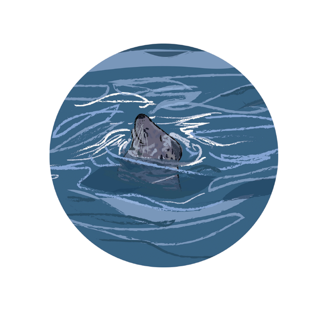 Greeting card - 'Seal Bottling'