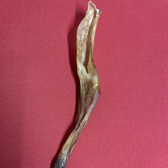 3 rabbit ears no fur 