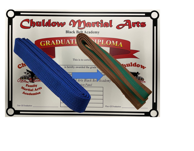 2_Graduation Blue belt to Brown/green belt