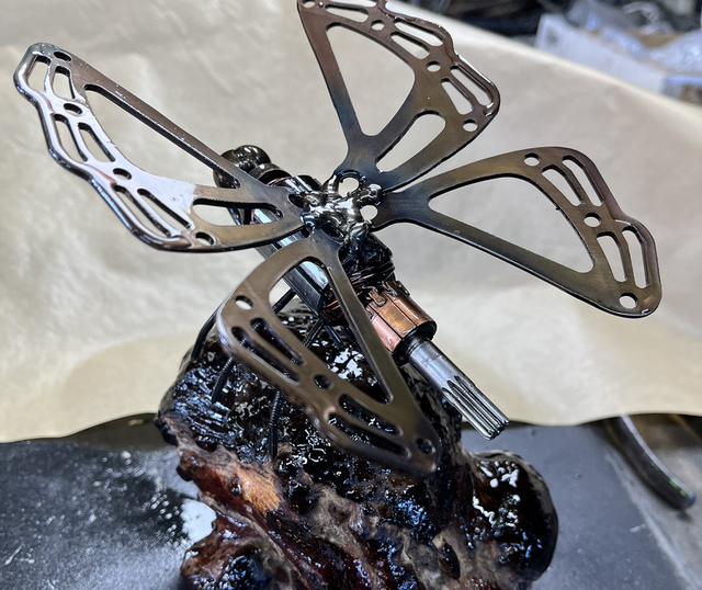 Papillon sur loupe de bois