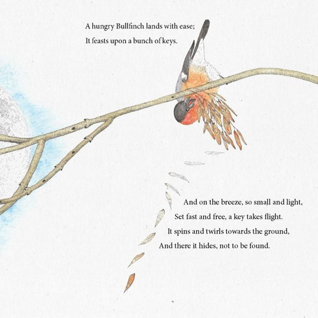 Book: The Tree That Held The Moon