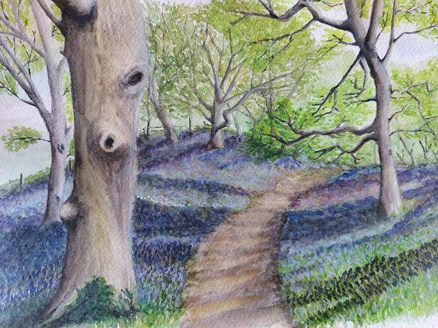 Bluebell woods original watercolour painting