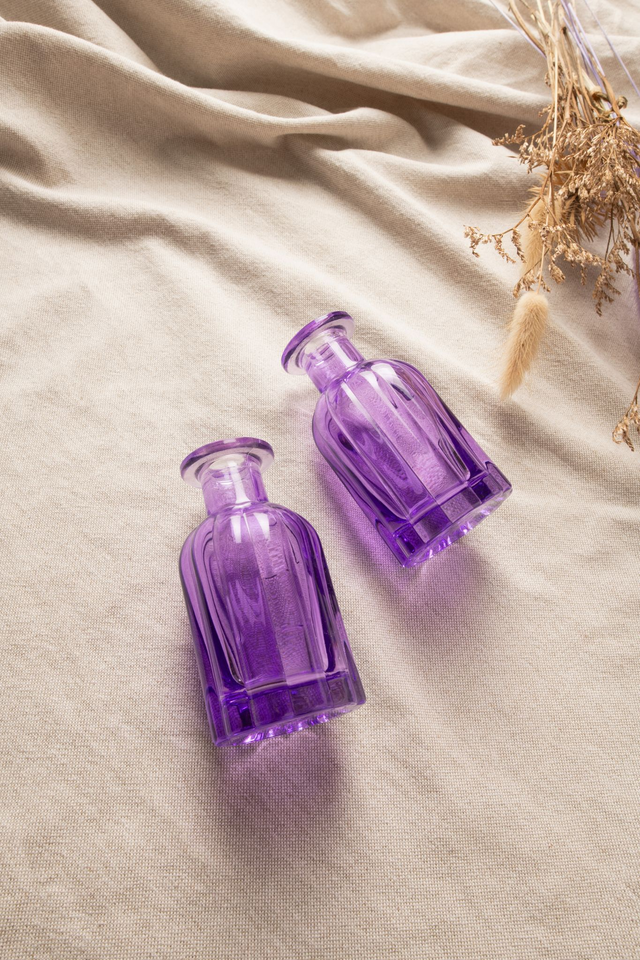 Lot de deux petits vases violets ✨