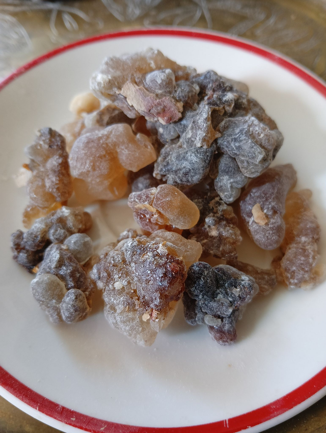 Larmes d'Oliban - Black Hojari de Salalah - Sultanat d'Oman