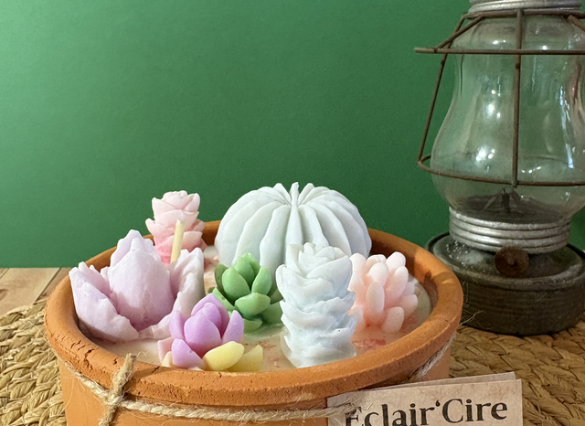 Cactus- flores blancas - 295gr