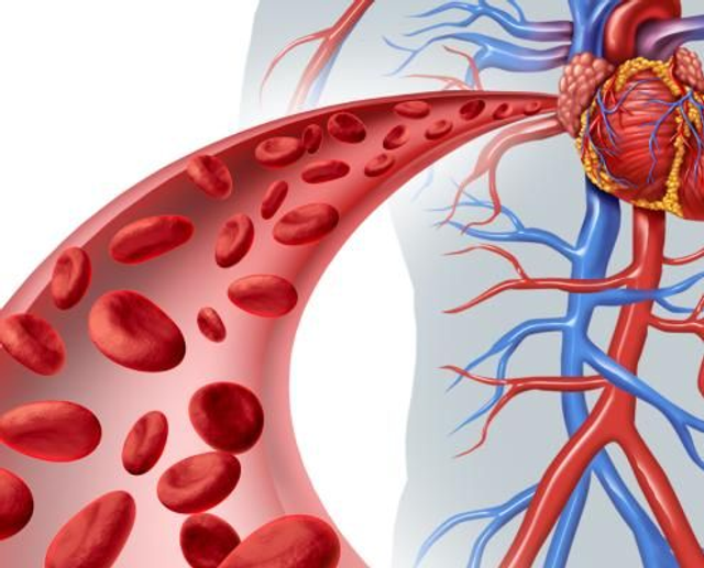 Microcirculation Blood Flow Test