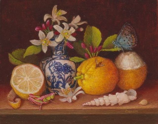 Still life with lemons, cricket and seashell