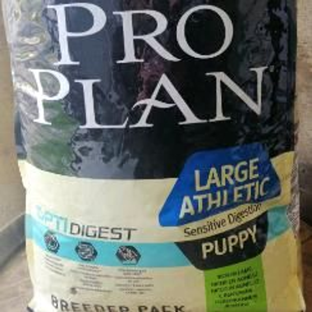 puppy large 18kg athletic agneau