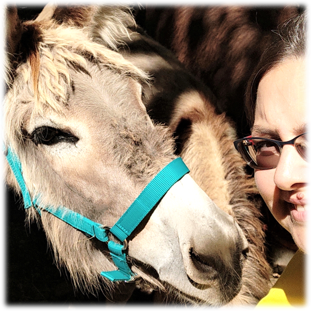 Coccole Farm - Adotta un asinello