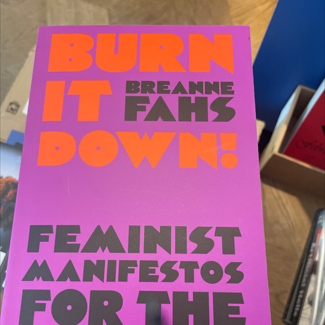 Burn It Down Feminist Manifestos