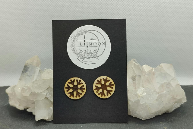 Puces d&#039;oreilles Noël 