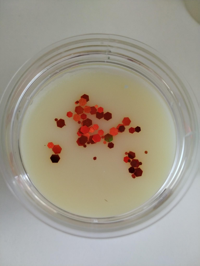 Crémeux crème brûlée 