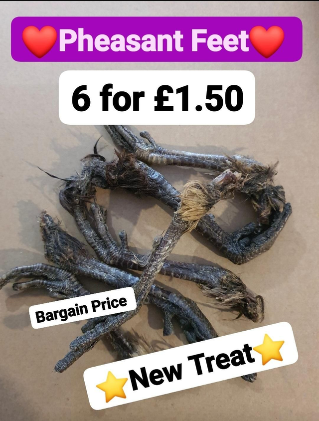 Pheasant Feet