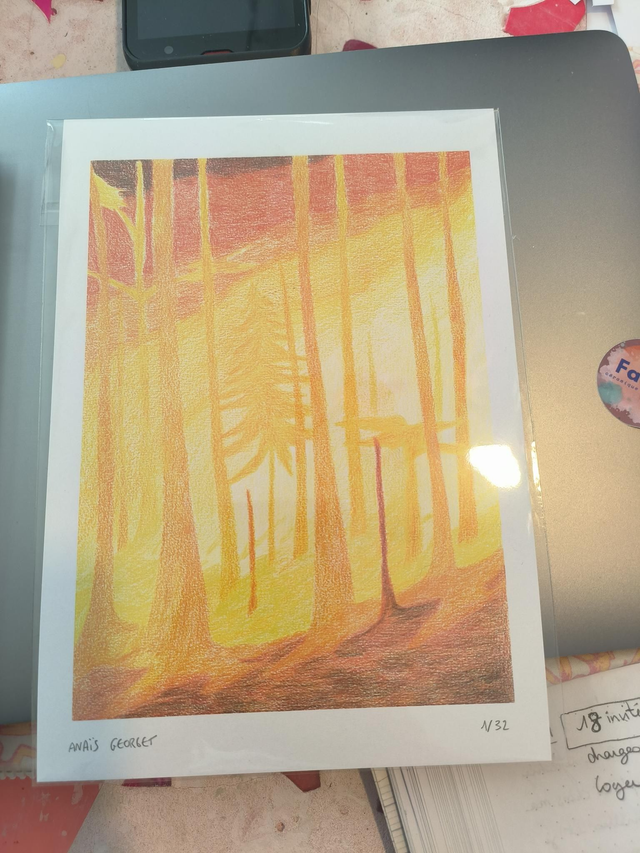 Braise - Anaïs Georget