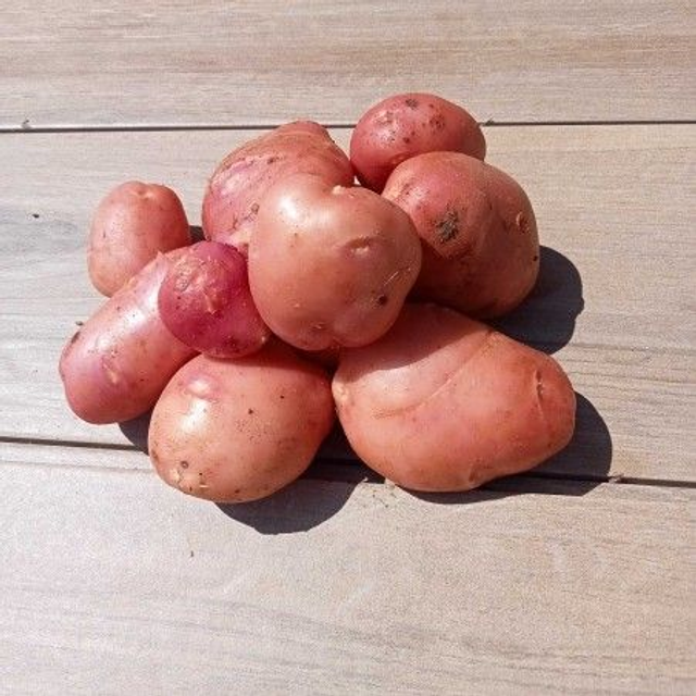 Pommes de terre tendre 1kg