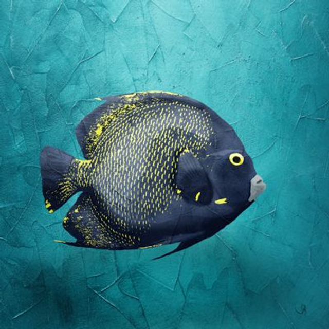 Carré B.-  Ange des mers