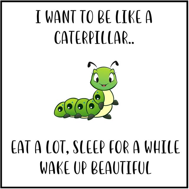103 - GIGGLE CARD L - CATERPILLAR