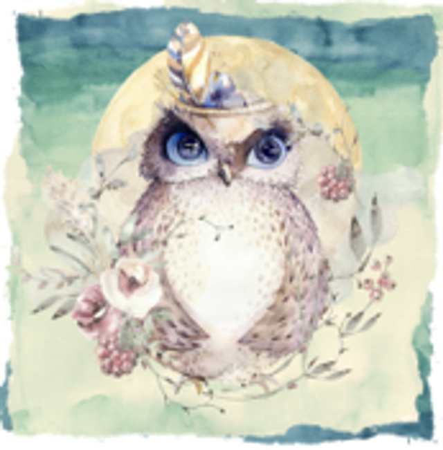 Hand made Cards - Life's a hoot