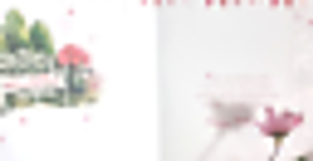 Aunt birthday card with a Garden & Flowers design quality card