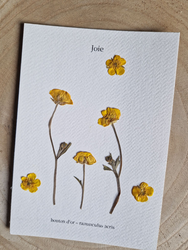 Herbier "Joie "fleurs séchées et pressées