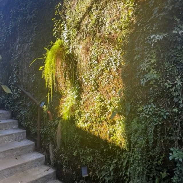 Murs végétaux  en kit le mètre 