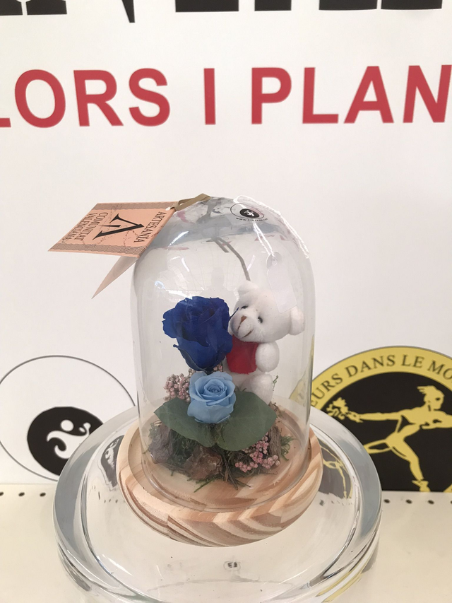 CUPULA CRISTAL 2 ROSA AZUL OSO D-12 Altura 16cm