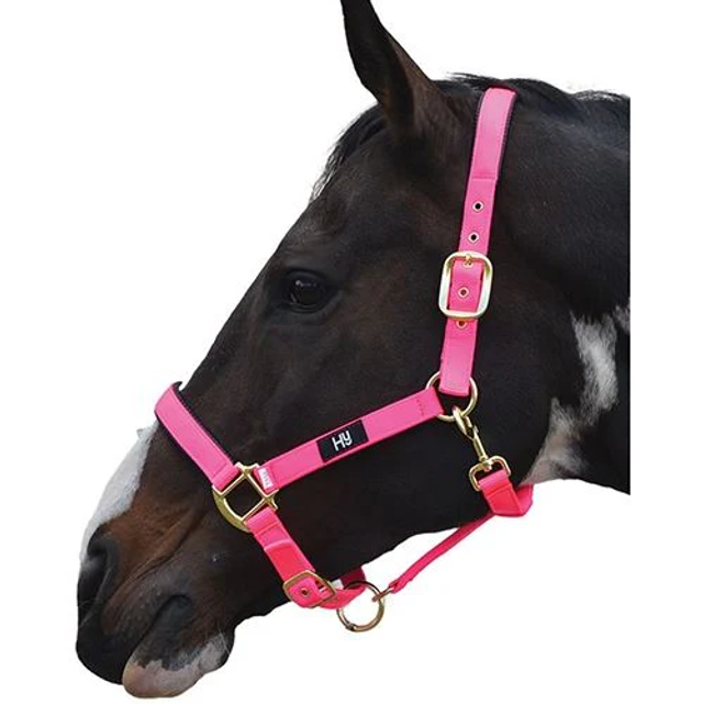 HY Deluxe Padded Head Collar HOT PINK