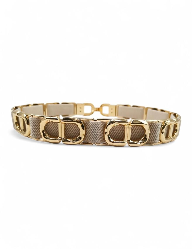 Riem elastiek beige met gouden details