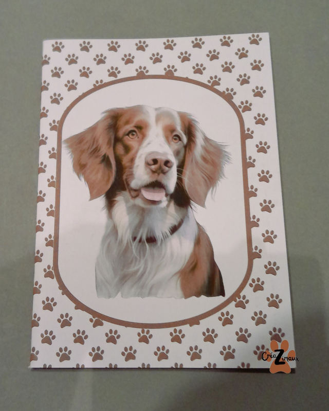 Carnet de note Epagneul breton