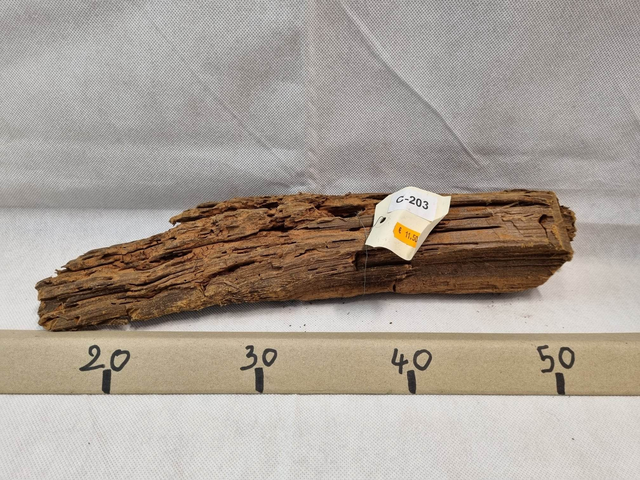 Racine Mangrove C-203