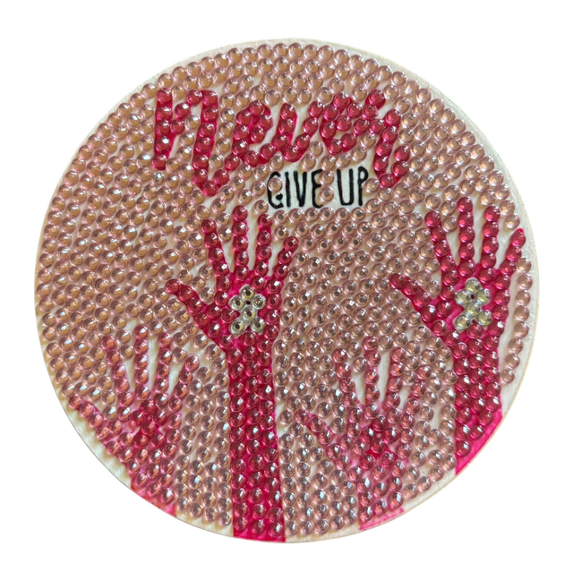 Never Give Up Coaster