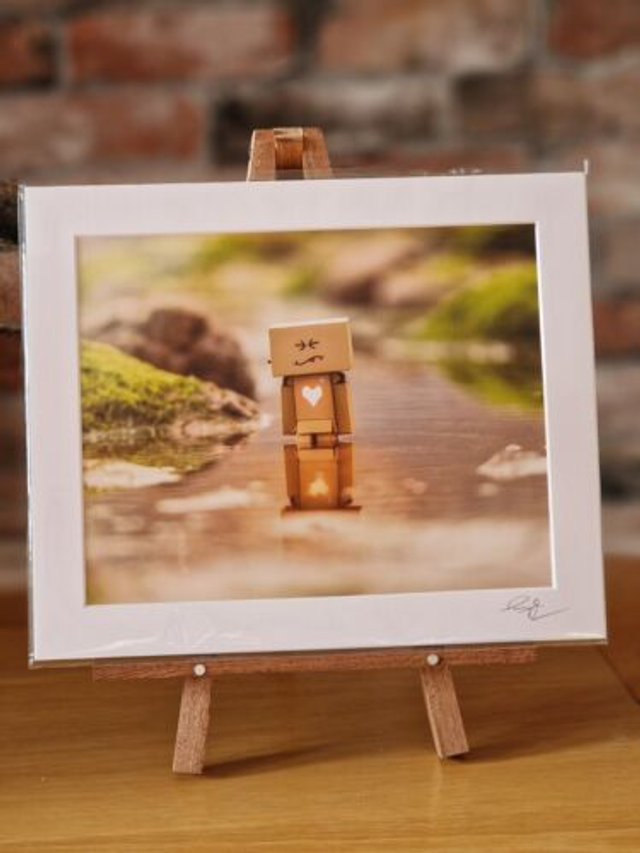 Cardboard Danbo Rockpool