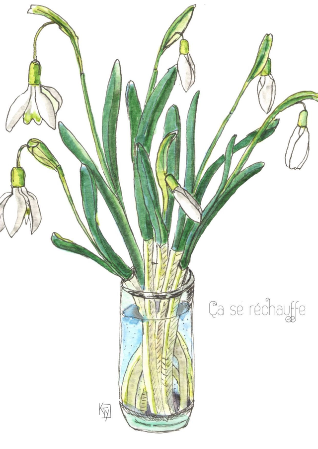 Perce-neige "Ça se réchauffe"