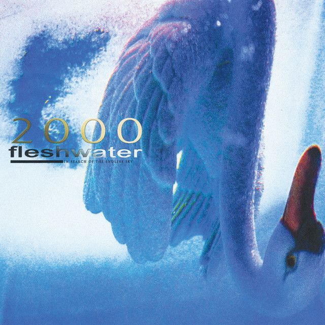 Fleshwater - 2000: In Search of the Endless Sky LP (Fluorescent Pink Vinyl)