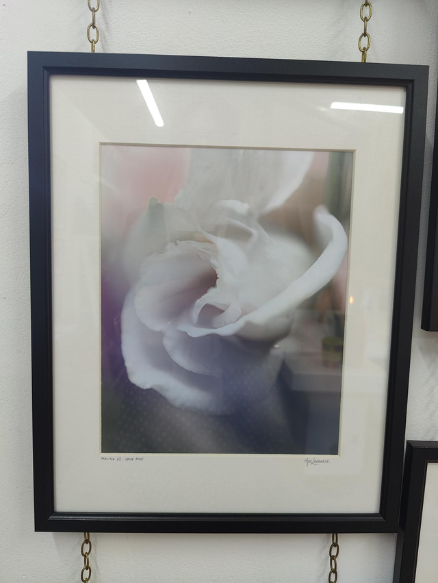 14x11 Print (framed)