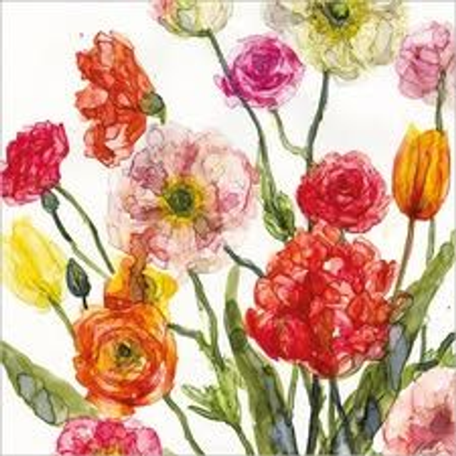 Ranunculus &amp; Poppies