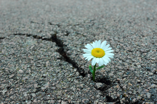 Blockaden erkennen & durchbrechen (Online-Seminar für Berufstätige)