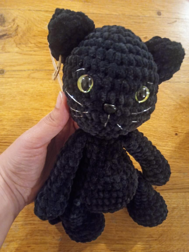 Chat noir 