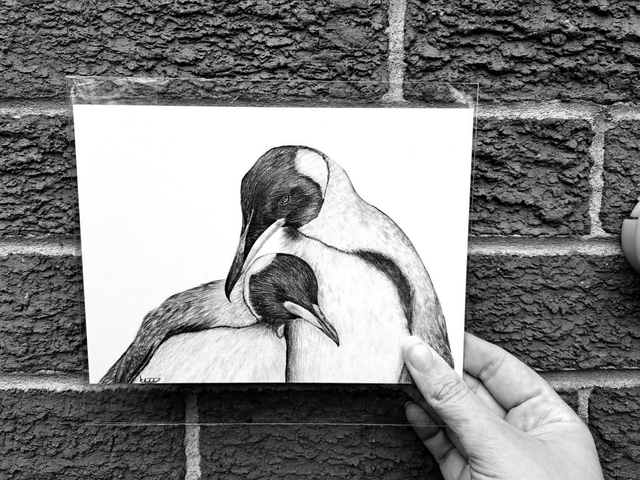 Penguin Mini Print
