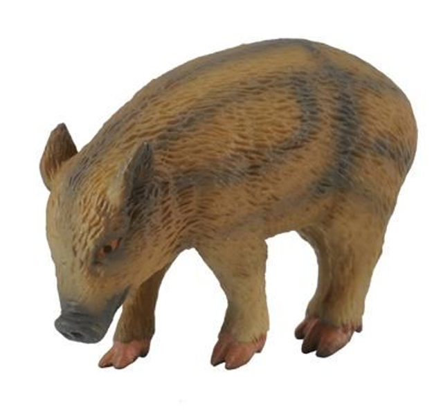 CollectA La vie sauvage >  Asie et Australasie    88366  Porcelet sauvage - Manger 