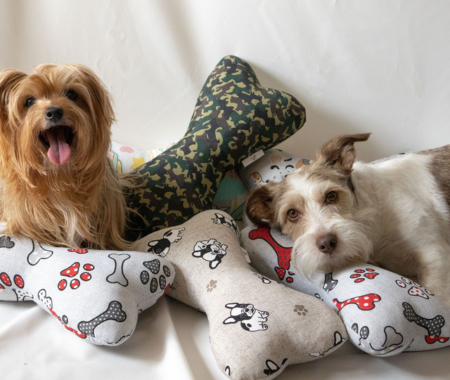 Bones Vermelha | Almofada Osso