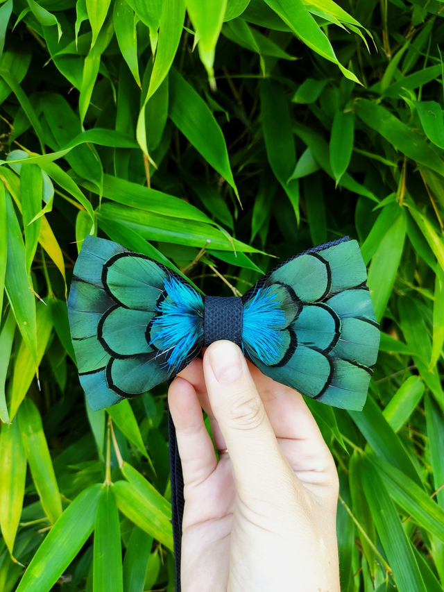 Noeud papillon Tissu et Plumes naturelles de Faisan doré vert et Paon bleu